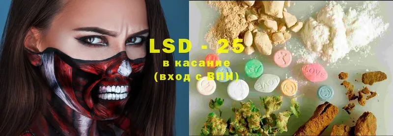 kraken вход  Алейск  Лсд 25 экстази кислота  наркотики 